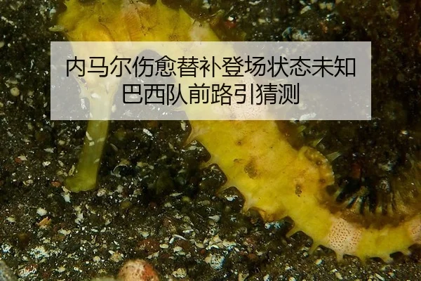 nei-ma-er-shang-yu-ti-bu-deng-chang-zhuang-tai-wei-zhi-ba-xi-dui-qian-lu-yin-cai-ce-1-166.jpg